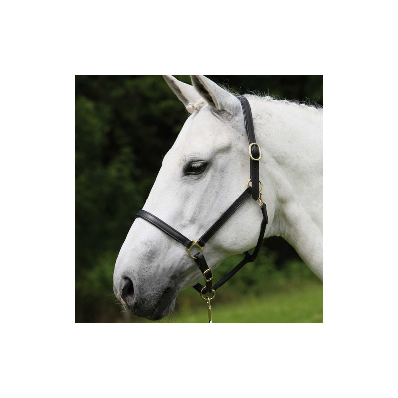 Licol cuir noir
