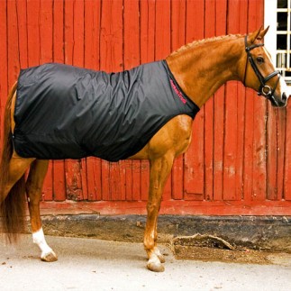 Couverture de marcheur Back On Track