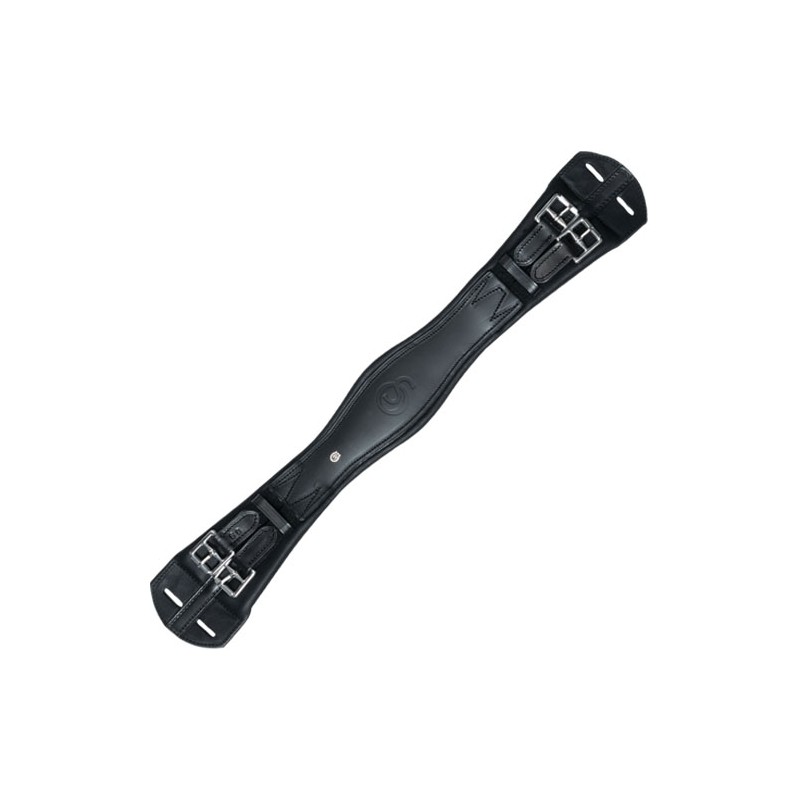 Sangle de dressage Otto Schumacher de stock