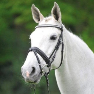 Wembley: bridon suédois X Line | Bridon Wembley Suédois