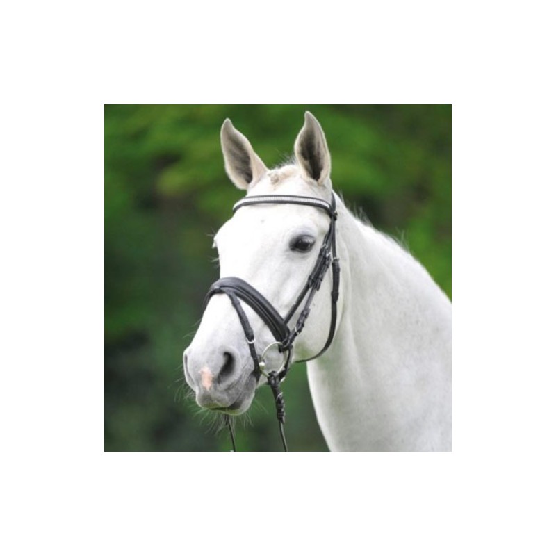 Wembley: bridon suédois X Line Wembley: bridon suédois X Line