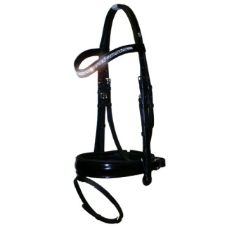 Otto Schumacher bridon Alegria VS dubai