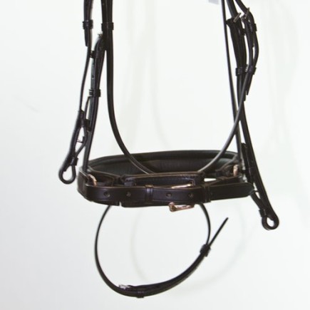 Bridon Otto Schumacher: Faraon