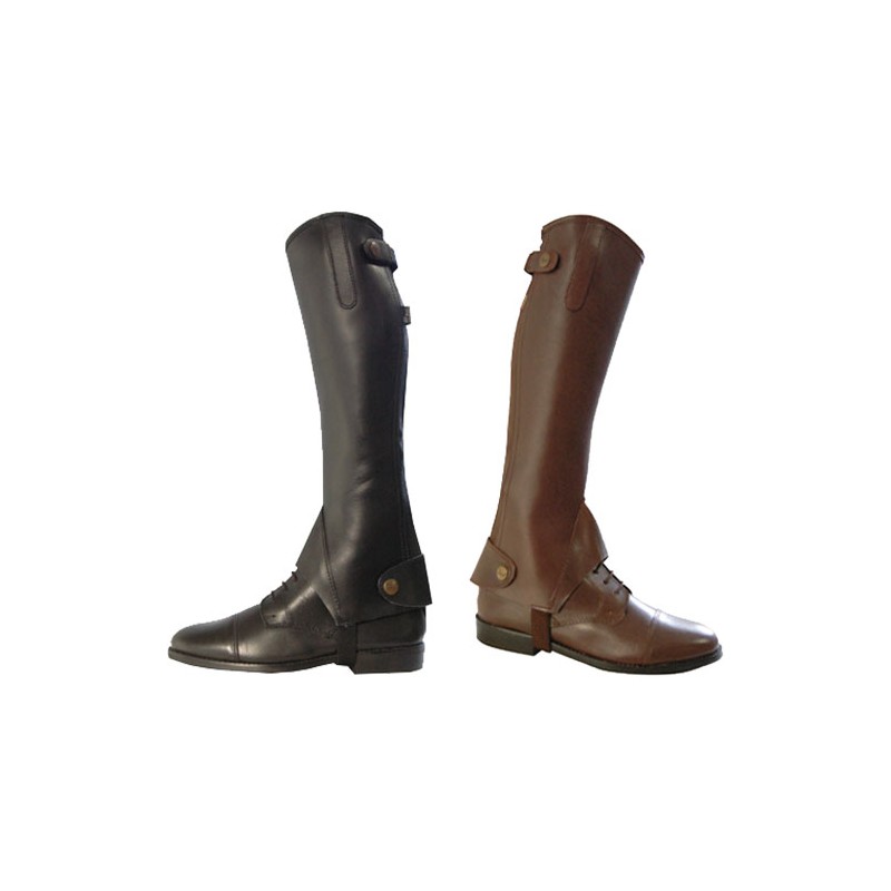 Chaps Maestro Equi Comfort "marron" Chaps Maestro Equi Comfort "marron"