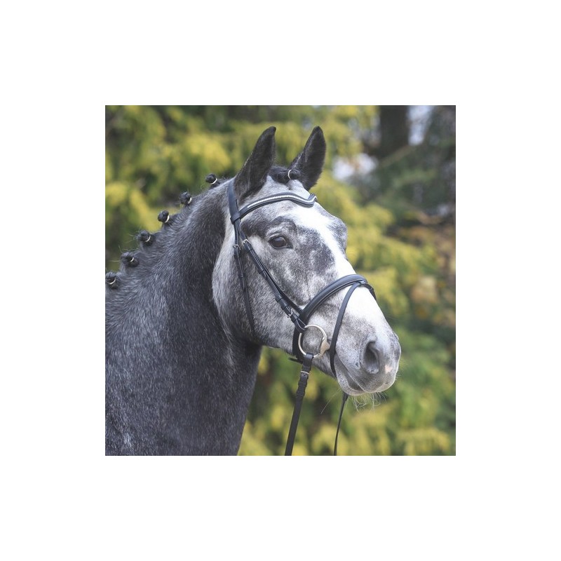 Wembley bridon X-line Elda Wembley bridon X-line Elda