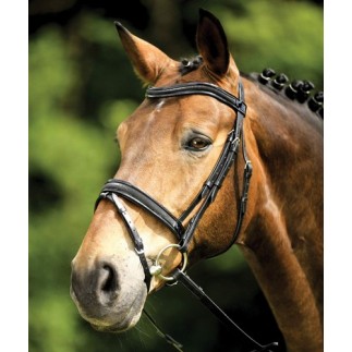 Bridon Wembley laqué Oviedo