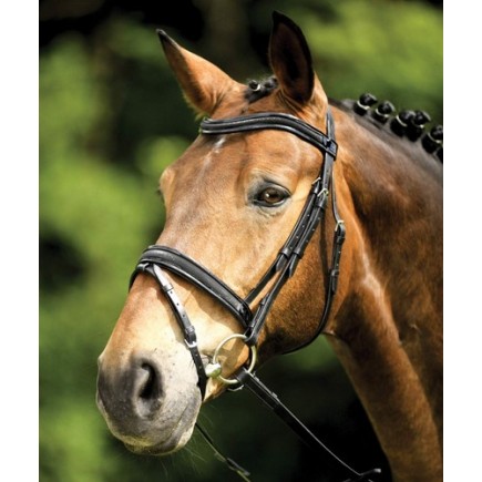 Bridon Wembley laqué Oviedo