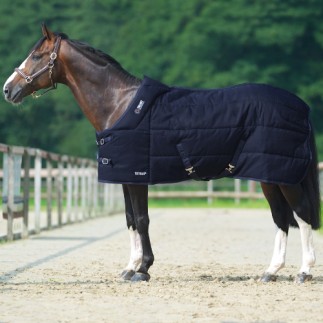 Trust Tetris 400g | Trust Tetris