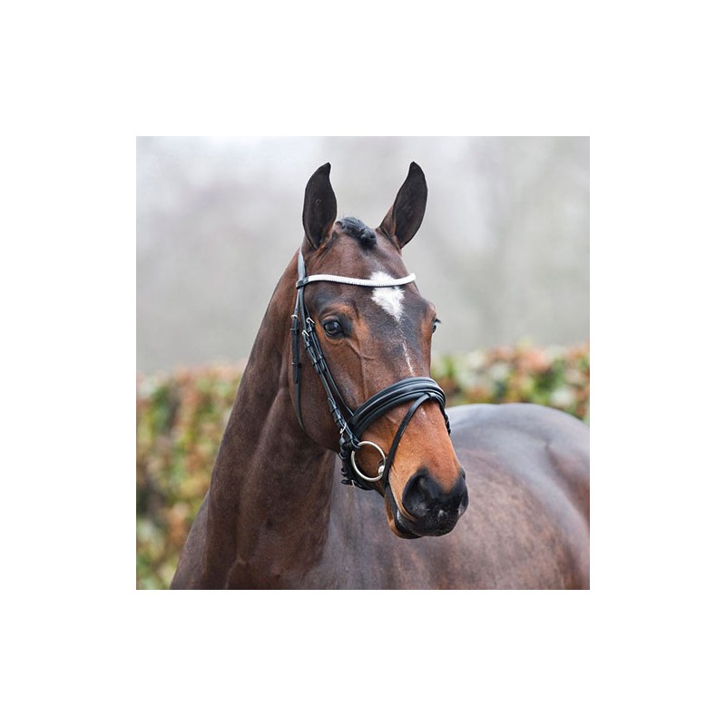 Bridon Livorno Horze