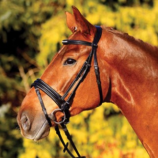 WEMBLEY X-Line Bridon Arona