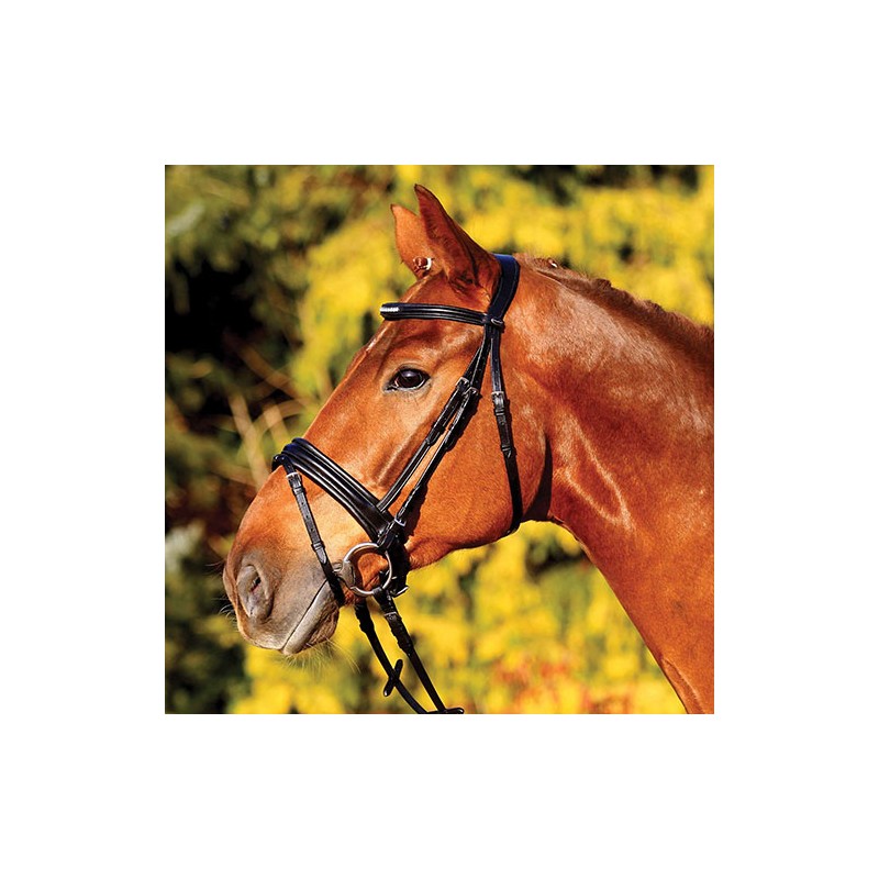 WEMBLEY X-Line Bridon Arona