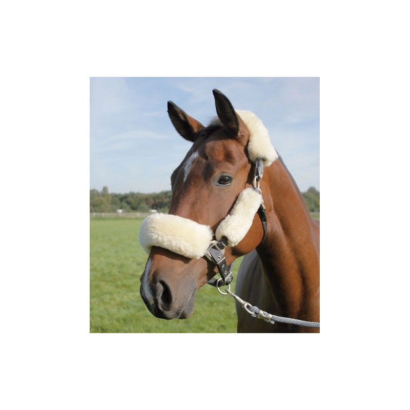 Fourreau de montant en mouton