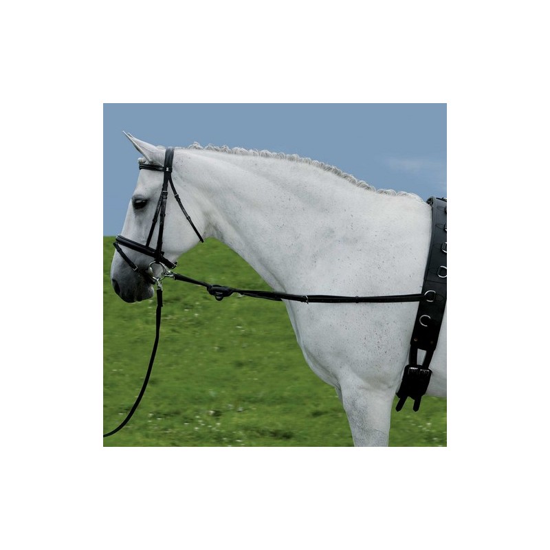 Rênes fixes avec anneaux en caoutchouc