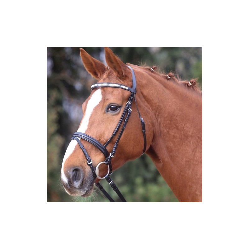 Star: bridon Enjoy Star: bridon Enjoy