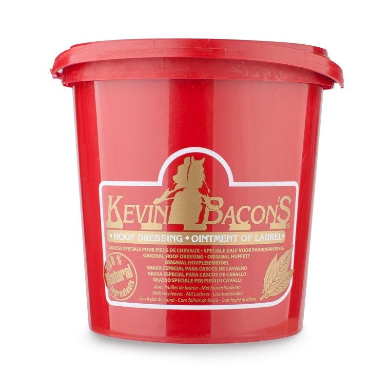 KEVIN BACON'S: Hoofdressing