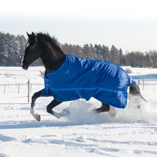 Cou Frost 330g Back on Track