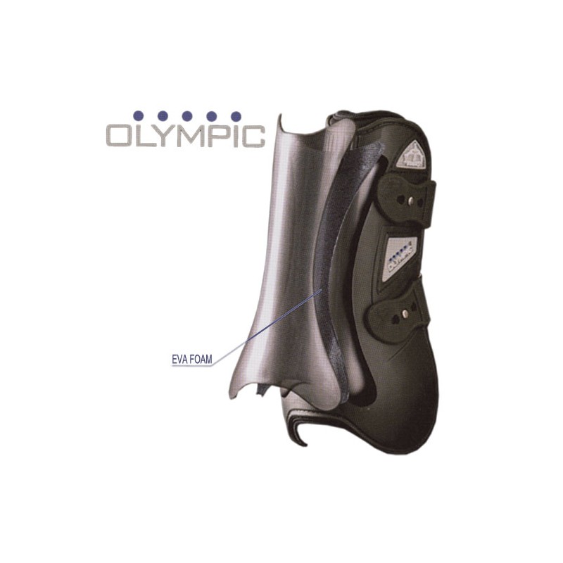 Veredus Olympus antérieur