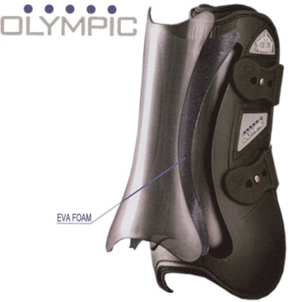 Veredus Olympus antérieur