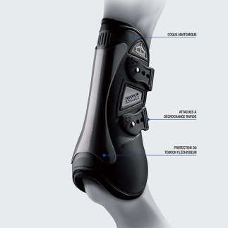 Veredus Olympus antérieur