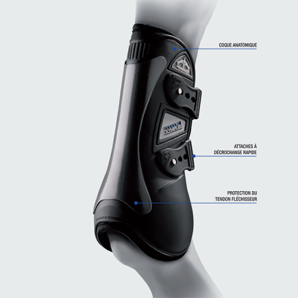 Veredus Olympus antérieur