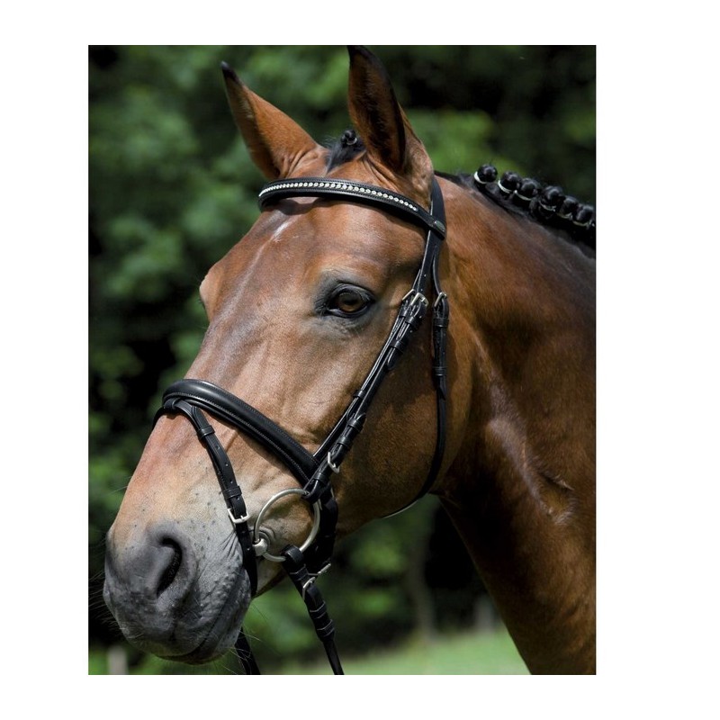 Wembley: bridon Pamplona pullback Wembley: bridon Pamplona pullback