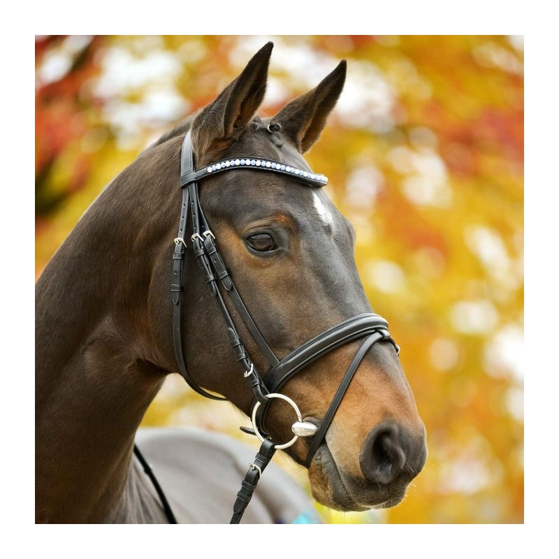 Wembley: bridon S Line Cardiff