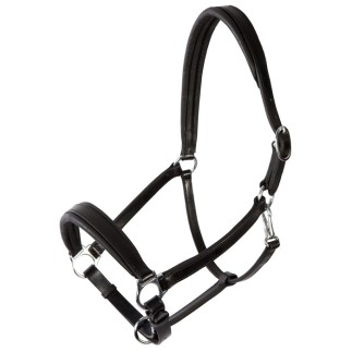 Pfiff: Licol en cuir Platin