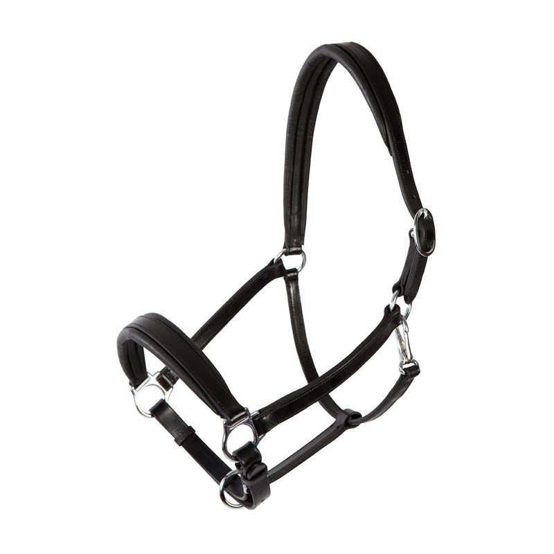 Pfiff: Licol en cuir Platin, Dundee Pfiff: Licol en cuir Platin, Dundee