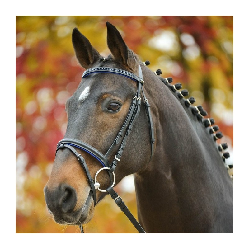 Star bridon Diamond color