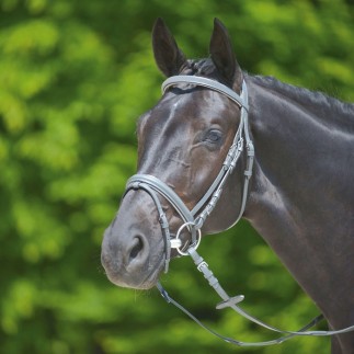 Wembley: X Line Shhade of grey