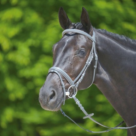 Wembley: X Line Shhade of grey