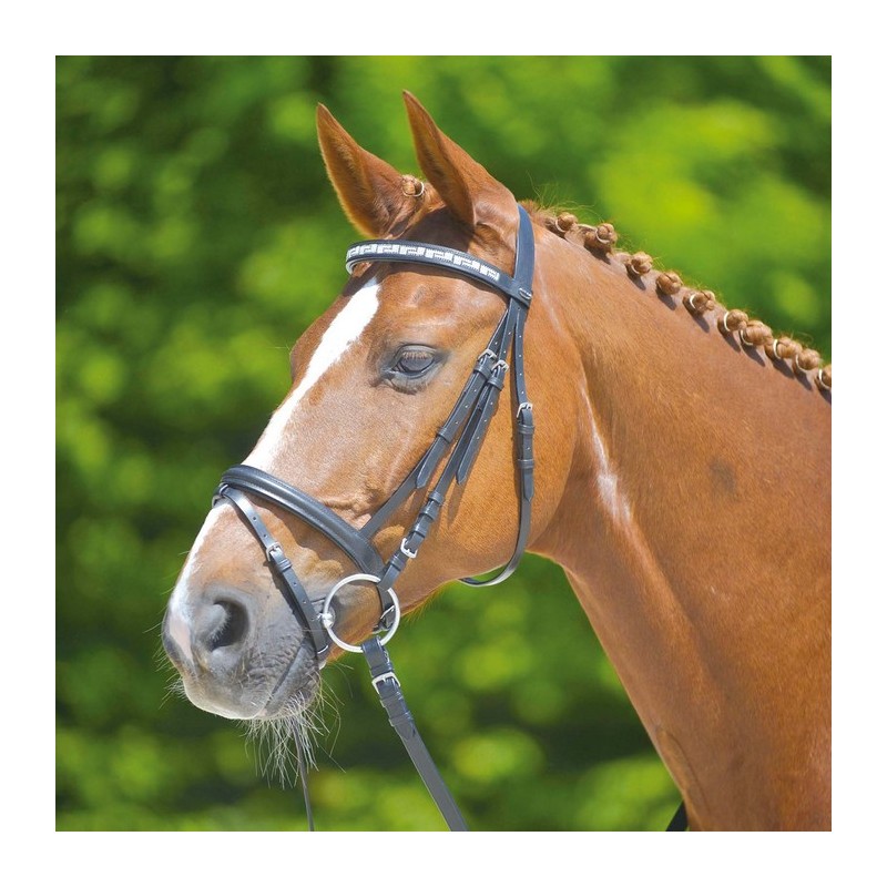 Star: bridon Maander Star: bridon Maander