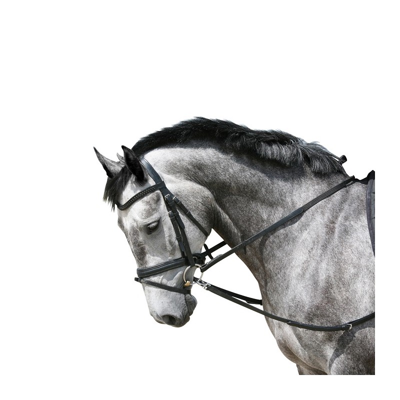 Pfiff: Enrênement fixe