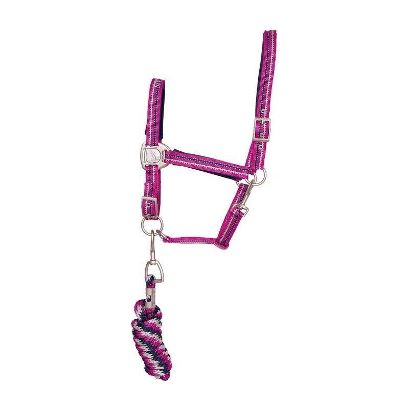 Euro Star: Licol + corde bleu