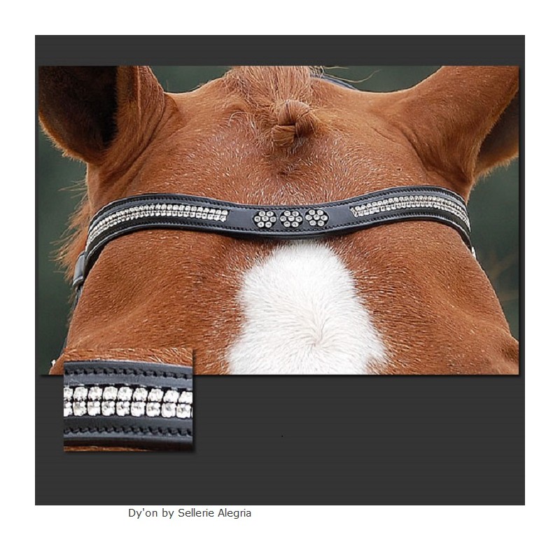 Dy'on: Frontal Flower Dy'on: Frontal Flower