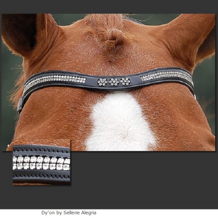 Dy'on: Frontal Flower