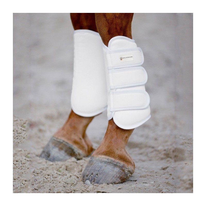 Guêtres de dressage Deluxe Avant