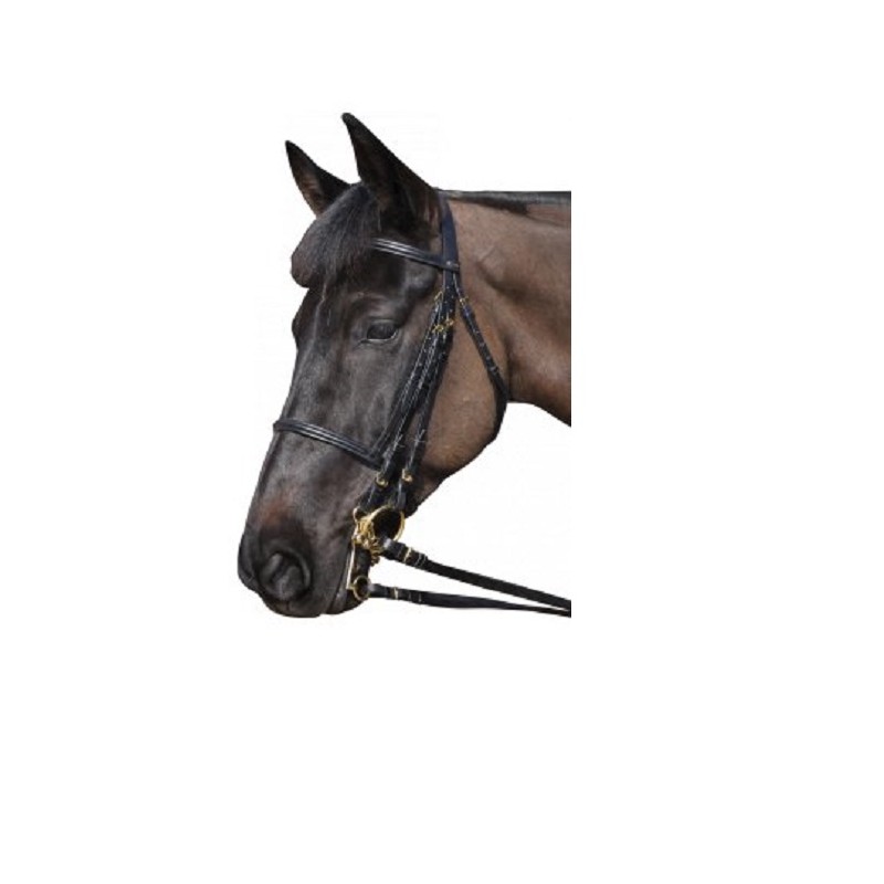 Chetak:  Bride doré