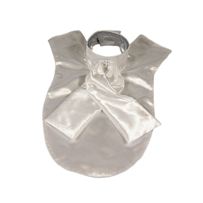 Kentucky: Plastron Kentucky: Plastron