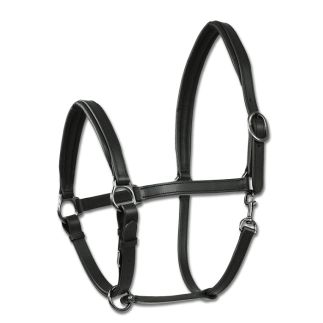 Wembley: Licol Finesse en cuir