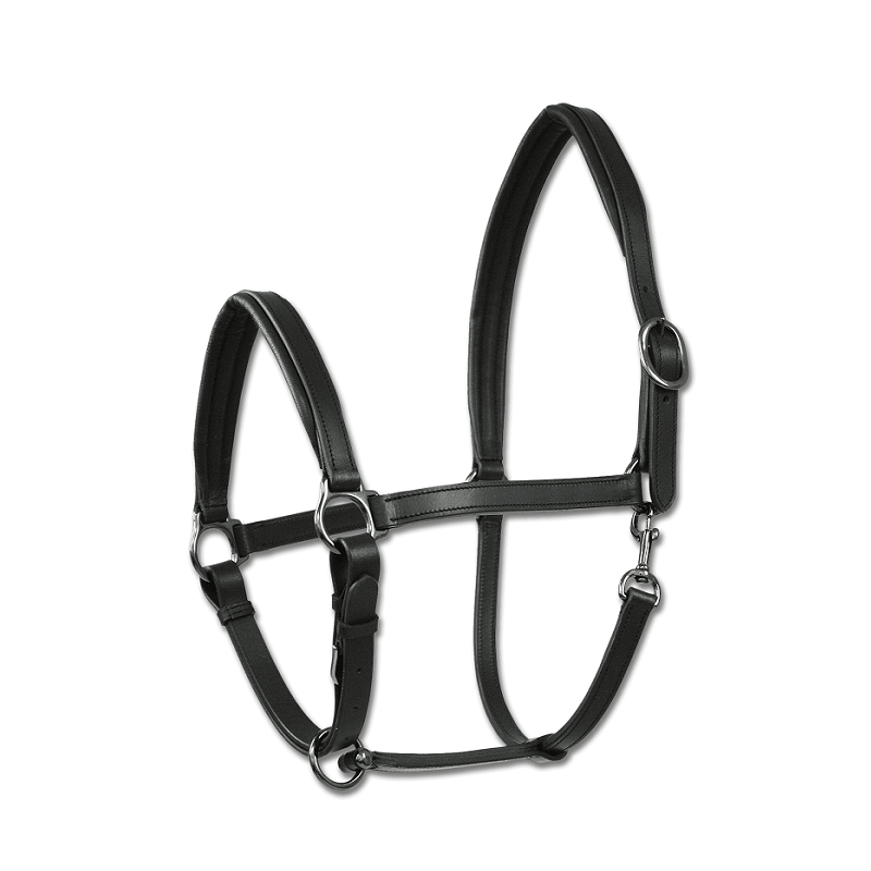 Wembley: Licol Finesse en cuir