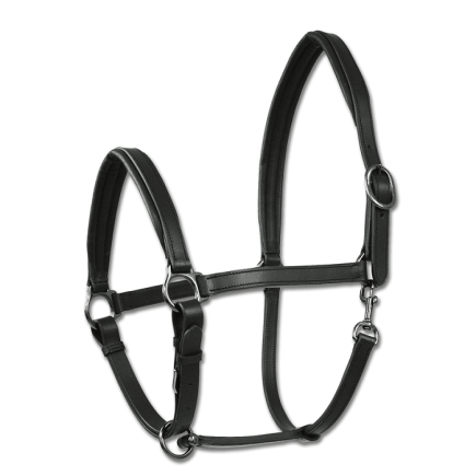 Wembley: Licol Finesse en cuir