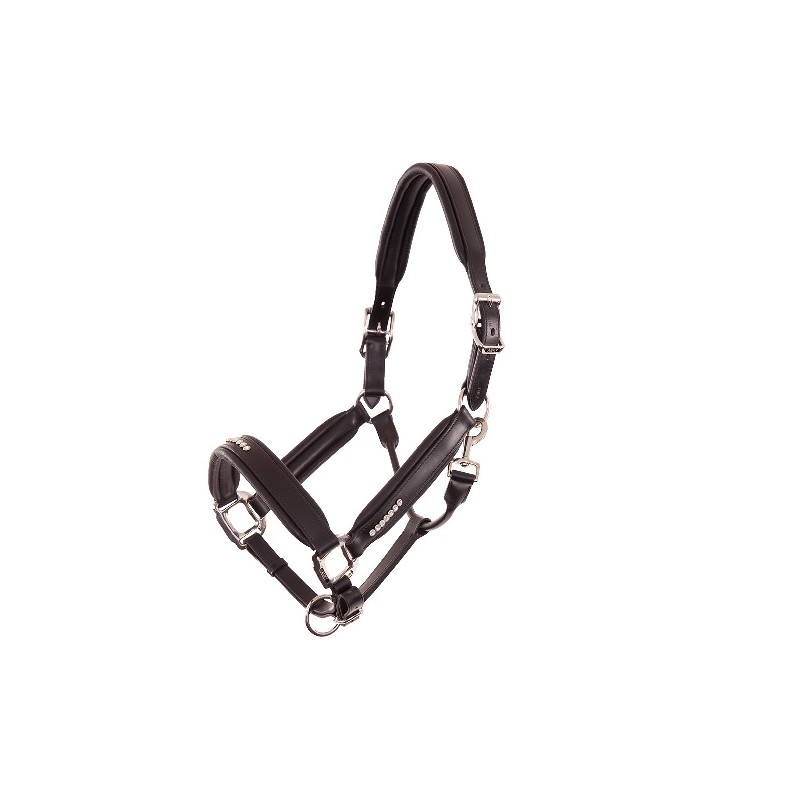 Anky: Licol Halter (New)