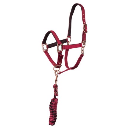 Anky : Licol & corde Ruby (New) | Anky : Licol & corde Halter and lead