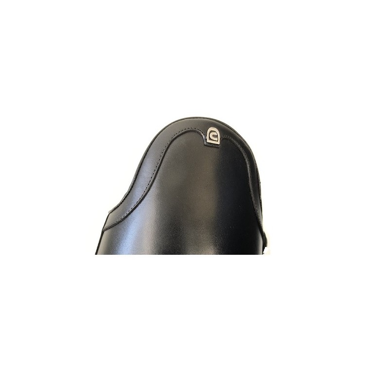 Cavallo : Insignis Dressage