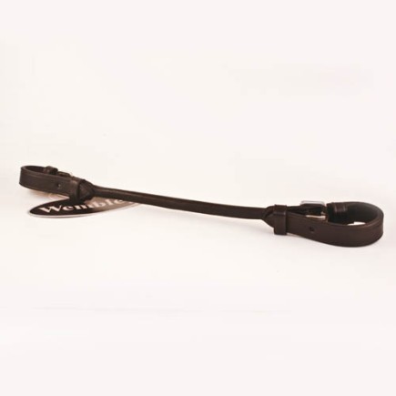 PoignǸe de maintien – Wembley – Divers – Équitation