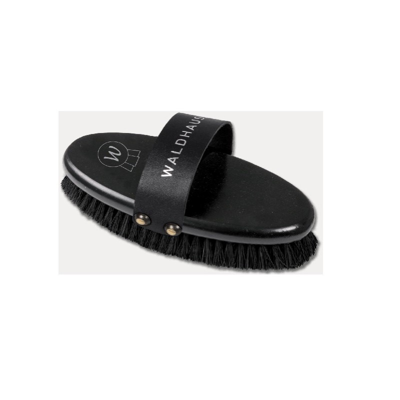 Brosse bouchon Waldhausen