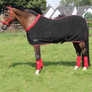 Chemise séchante polaire noir- cerise – 145mm – Wembley – Équitation