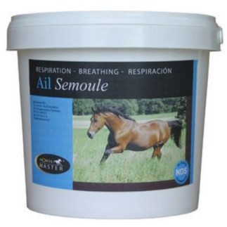 Foran: Ail semoule pot de 1 kg 1kg – Respiration – Équitation