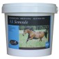 Foran: Ail semoule pot de 1 kg 1kg
